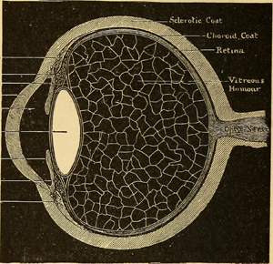 eyeball 1890
